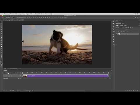 Update New Boomerang Loop Style Video Effect Photoshop Action Tutorial