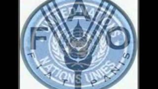 Codex Alimentarius Explained In 6 Min