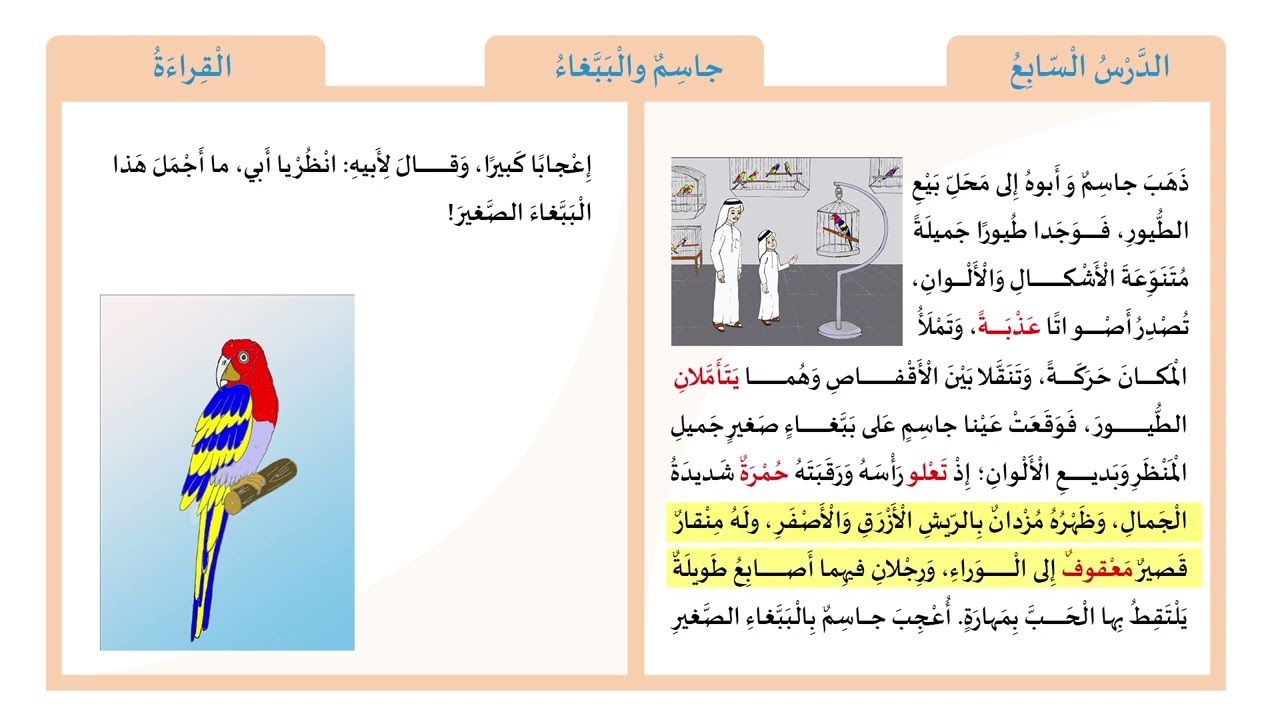من درس، جاسم والببغاء