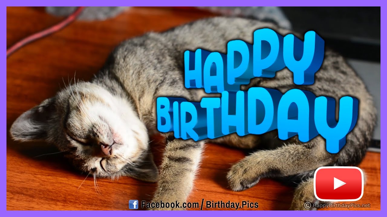 Сообщение на день рождения от Sleepy Cat - С Днем Рождения 🐱