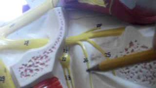 Trigeminal nerve 1.AVI