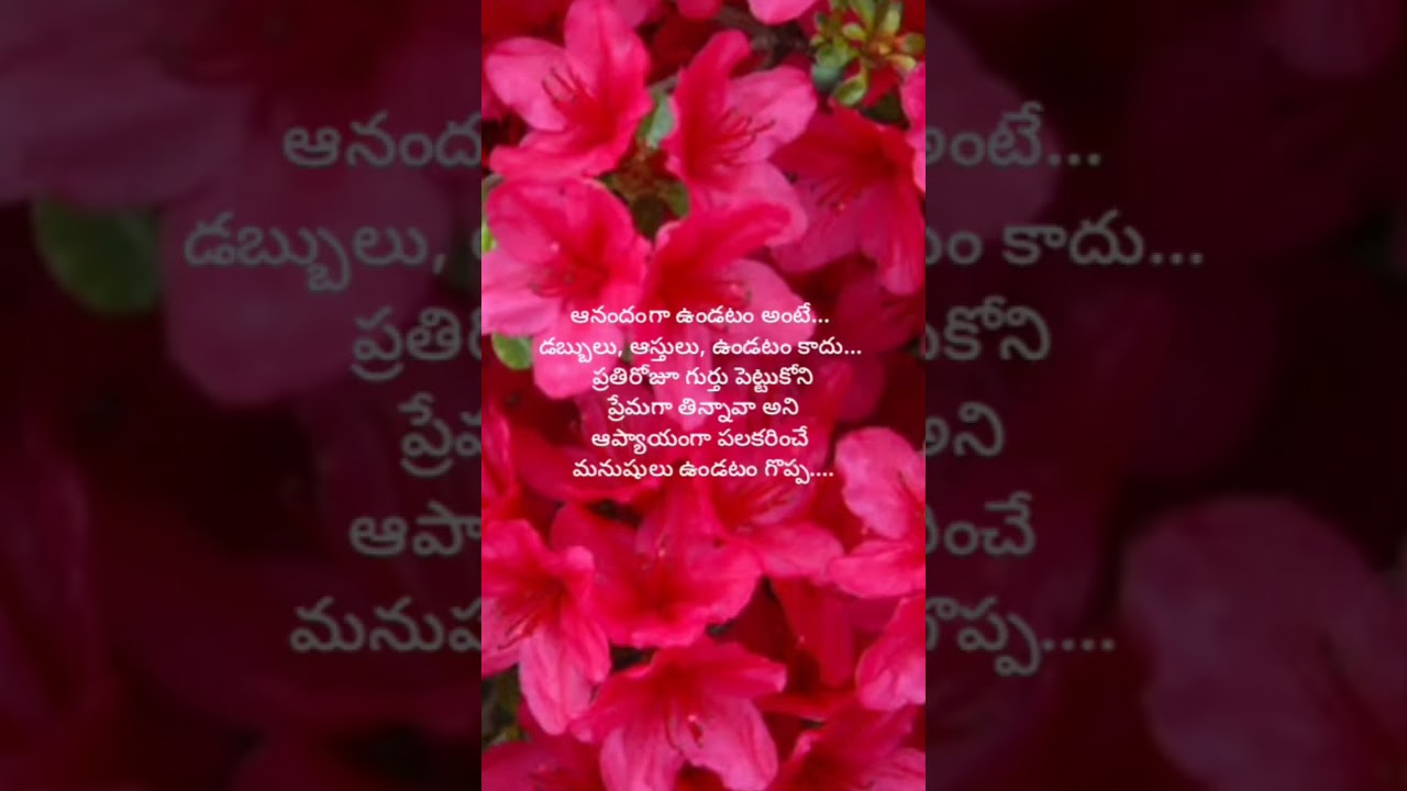 Telugu quotes 