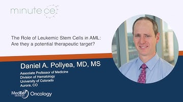 The Role of Leukemic Stem Cells in AML: Are they a potential therapeutic target?