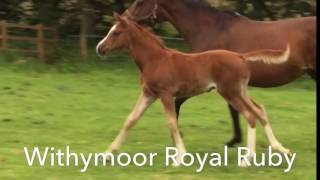 Trim 5326Fd0F F8Fa 4580 8Fc9 165D1A298Ac0