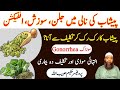 Gonorrhea Herbal Treatment l Sozak Ka Ilaj l Infection l سوزاک کا دیسی علاج 