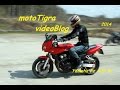 Мото покатушки 8 - 10 августа (motoTigra 9)