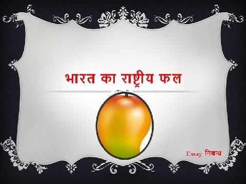 essay about fruit in hindi language