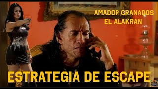 Estrategia De Escape Película Completa En Español