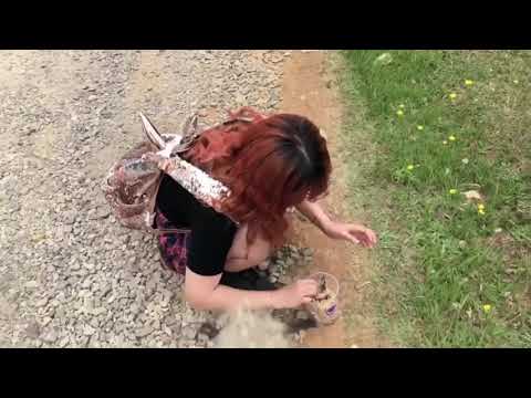 Clip Troll lại Phụng Lai cho bỏ ghét =))))))) - Trần Ngọc Cát Phương & Huỳnh Phụng