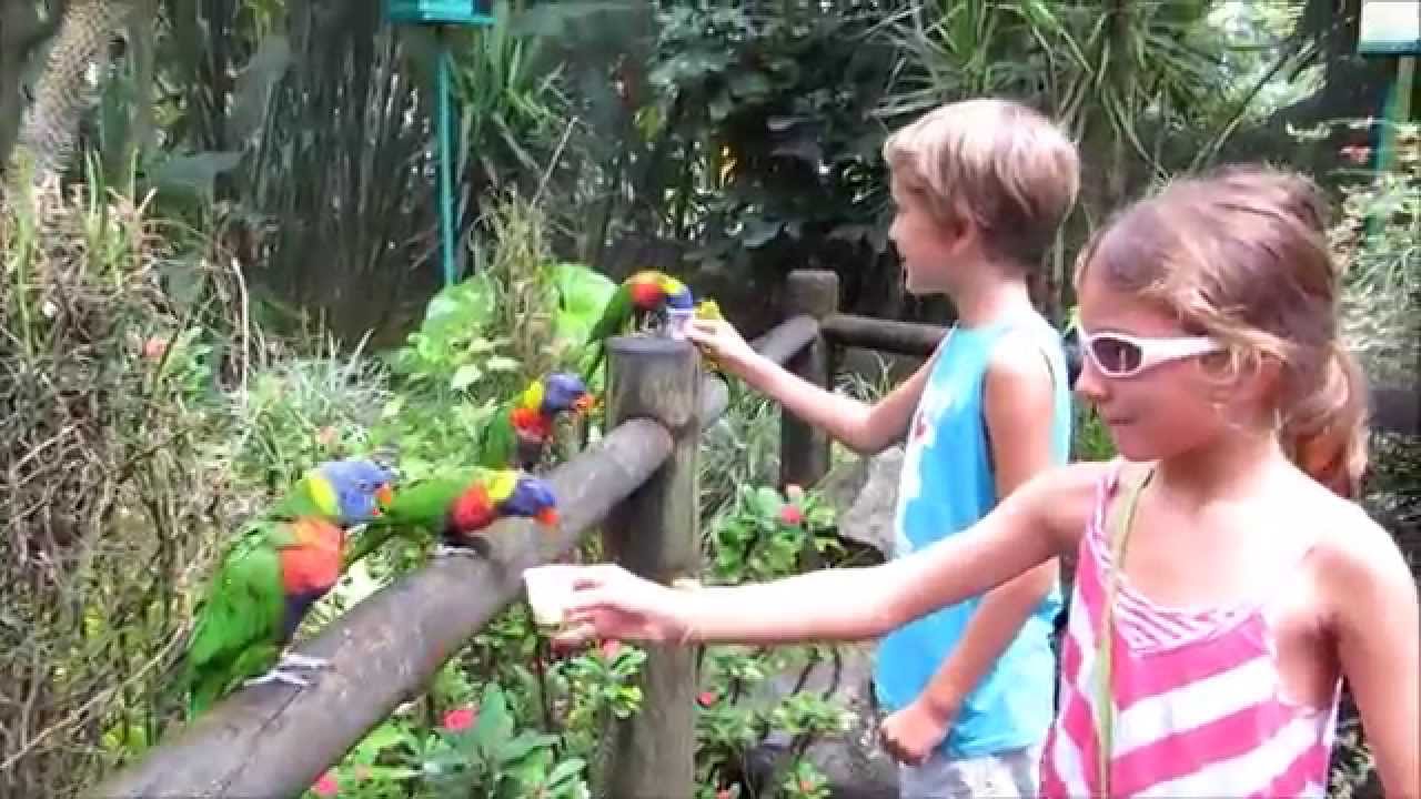 Visite au Jardin Botanique de Deshaies