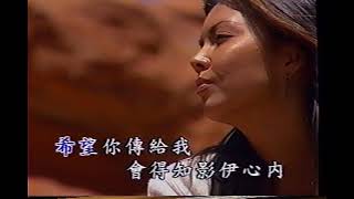 金牌台語老歌 1