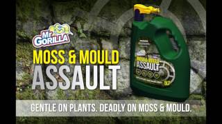 Gorilla Moss and Mould Assault HD