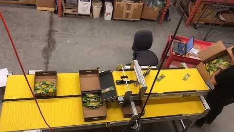 Fast Counting Box Filler - Packaging Conveyor By SmartMove®