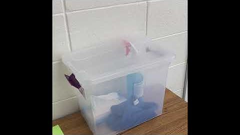 Return of In-Person Instruction At Shepard High School: Safety Precautions