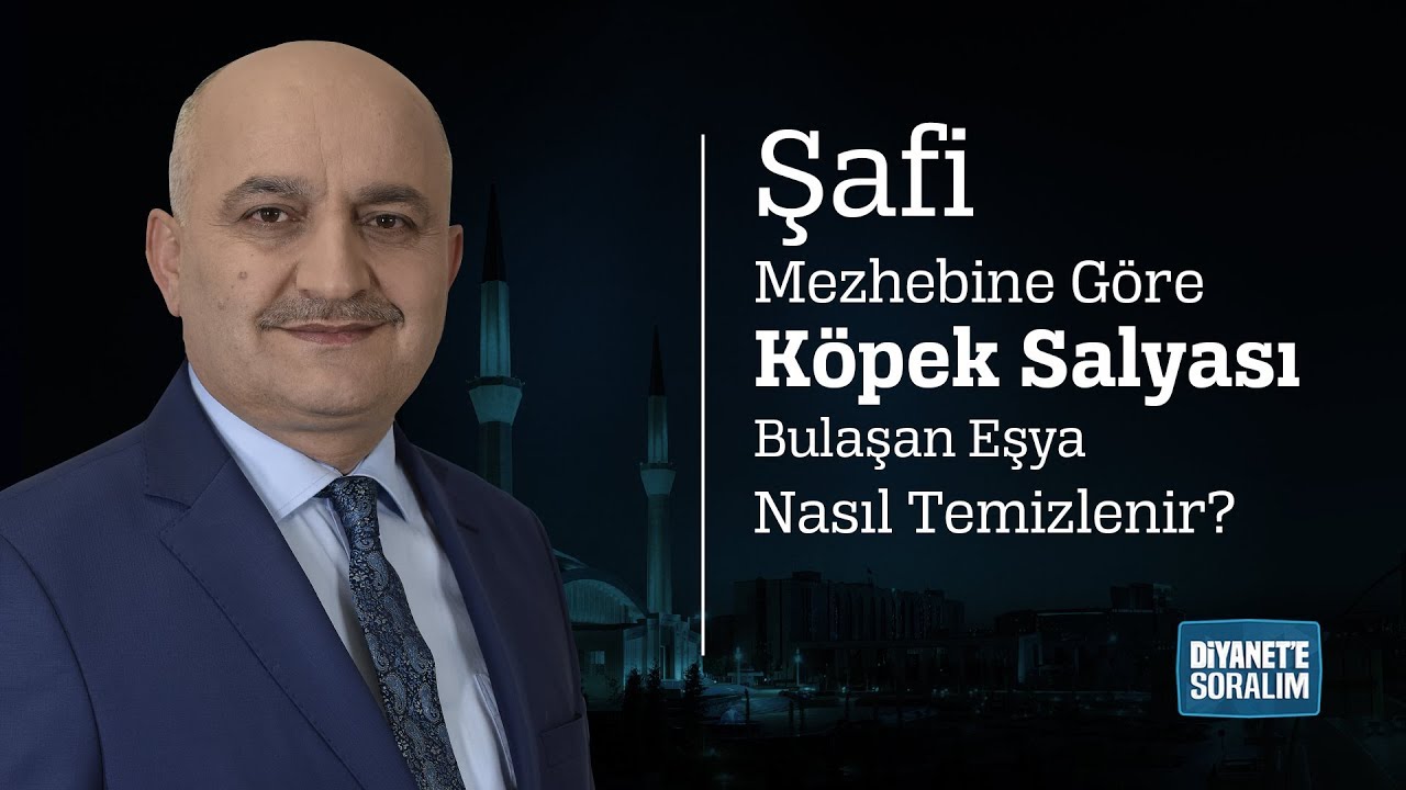 Safi Mezhebine Gore Kopek Salyasi Bulasan Esya Nasil Temizlenir Diyanet Tv