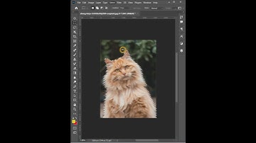 Remove Complex Background Easily | Short Photoshop Tutorial #shorts #shortvideo #tutorial
