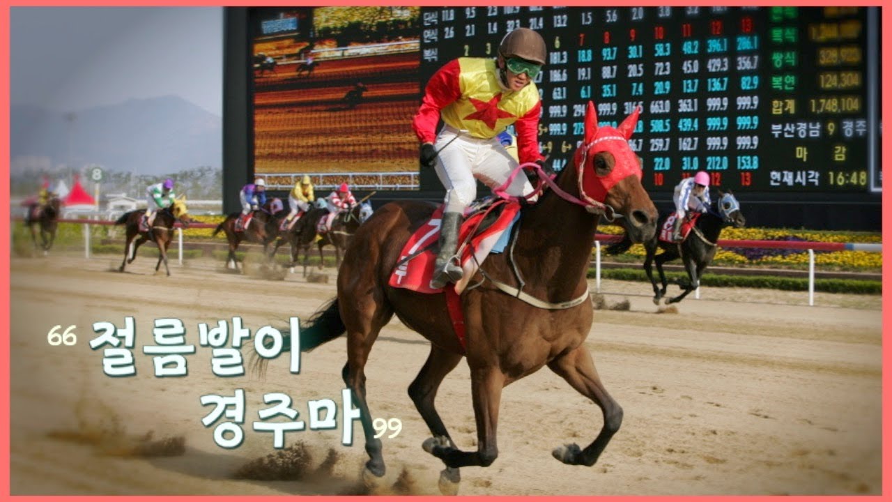 장애를 극복하고 우승한 경주마 ‘루나’