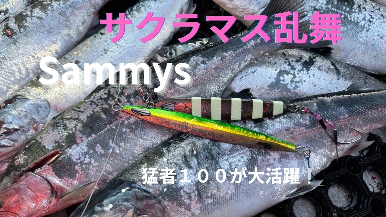 サクラマスジギング　２０２６
