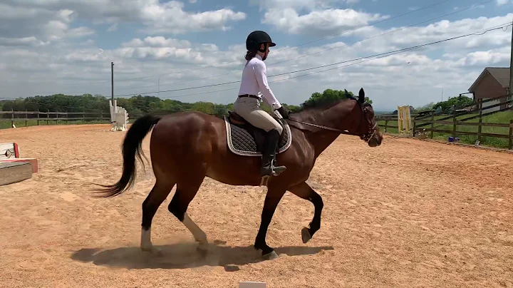 Elizabeth Whitehead on Max Rockatansky. USDF Intro...