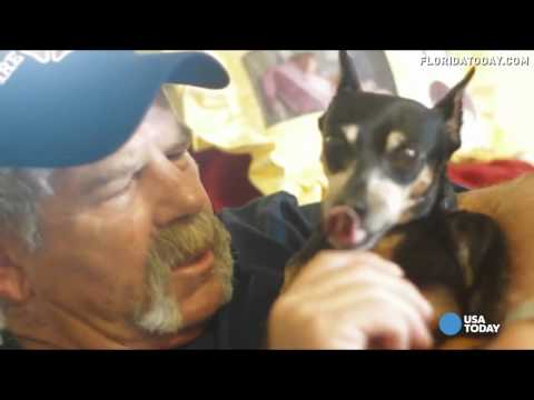 Video: „Pet Scoop“: gaisrininkas sako, kad šuo aptiko vėžį, priėmimas pavogtas iš prieglaudos