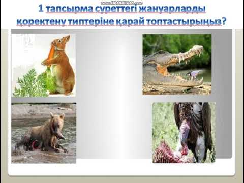 Dom 2 порно фильмдерін онлайн көру Толық HD форматында онлайн порно көру