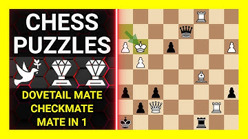 Chess Puzzles to Practice. Themes: Dovetail mate, Checkmate, Mate in 1. Learn Chess