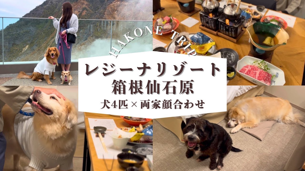 大型犬3匹＋小型犬1匹で箱根旅行｜レジーナリゾート箱根仙石原で両家顔合わせVlog