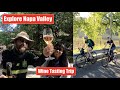 Napa Valley / Exploring/'Tasting' Wine Country / Secret Spots / Biking / Yountville / Vineyards