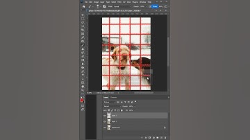 Remove Fence in Photoshop Easily Learn l Simple Steps #shorts