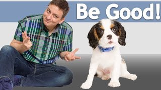 How to Teach your Dog to Be Good around ANYTHING!