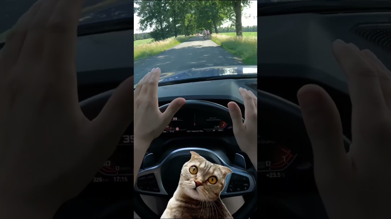 #bmw #automobile #germany #mindset #motivation #cartok #funny #gaming #memes