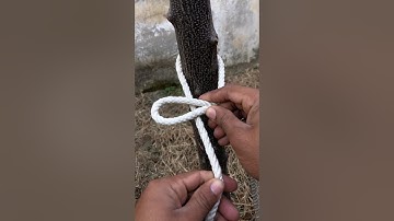 1 Knot Mostly Used In Our Everyday Life 👍#knot #rope #knottying