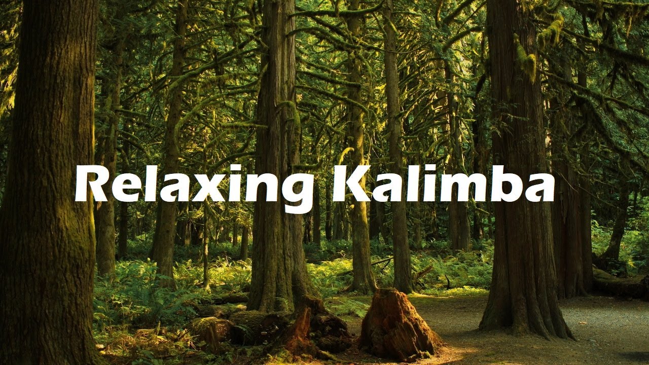 Awareness Relaxing Kalimba Music For Meditation And Yoga (Music to