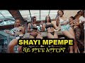 SHAYI MPEMPE - ሻይ ምፔፔ Amapiano Music by NETSIMIX