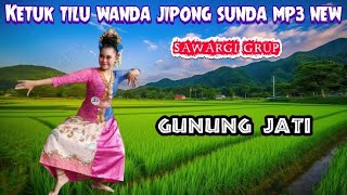 GUNUNG JATI - Lagu Jaipong Terbaru 2024 Sinden Merdu Teman Santai & Kerja || Sawargi Grup