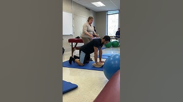 Serratus Anterior exercise on a Rocker Board (Quadruped)