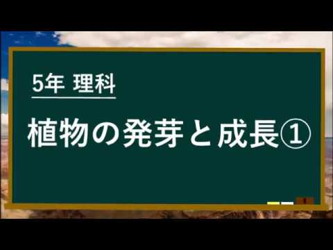 植物の発芽と成長 発芽と水 Youtube