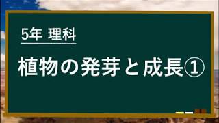 植物の発芽と成長①～発芽と水～