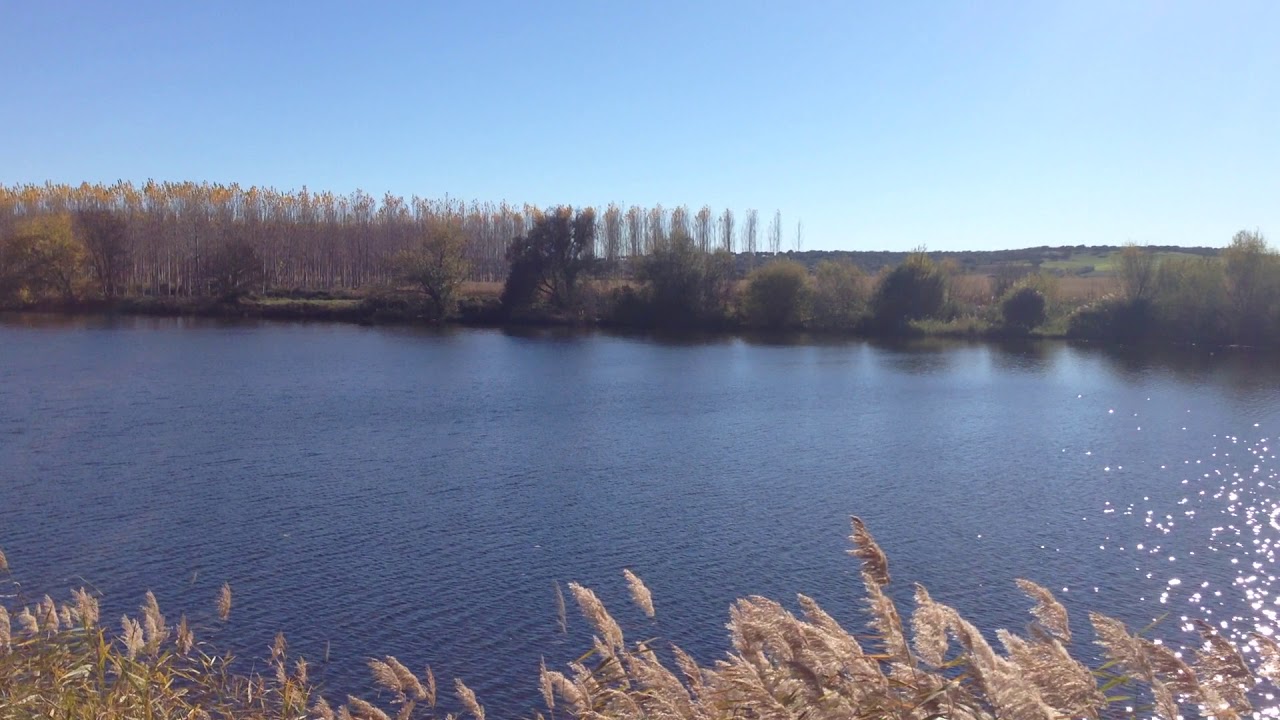 Río Tormes en la finca de Valcuevo