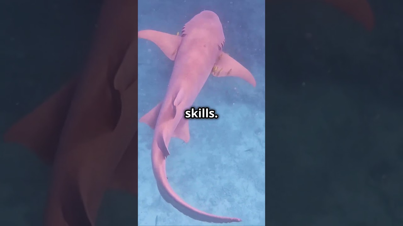 🦈 Top 10 Goblin Shark Species: The Deep-Sea’s Strangest Sharks! 🌌🌊