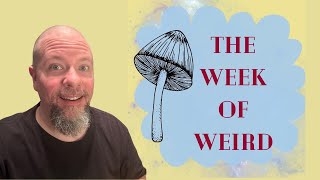 The Week of Weird Returns!
#weekofweird #weirdfiction #readathons
The Week of Weird returns this September 15 - 21. Come join us!
Hosted by me and @fiberartsyreads
Discord: https://discord.gg/DfAqJsNk4k
The Prompts:
1. Read a cosmic horror story or book
2. Read a weird graphic novel/manga/comic
3. Read a story/book written by an LGBTQIA+ author
4. Read our group story: The Weirdest World by R.A. Lafferty
Listen to the Weird Reads Podcast wherever you download your podcasts from!
Become a Patron! https://patreon.com/jason_white
Buy Me A Coffee: https://www.buymeacoffee.com/weirdreader
Find Me: https://linktr.ee/jasonsweirdreads
Lets chat:
Join the book club: https://fable.co/club/jasons-weird-reads-book-club-with-jwhite-418694065870?club_type=free#books
Join my discord: https://discord.gg/RTvcHvWuXa
Twitter: Jason_White74
Please consider buying my book Isolation: https://www.amazon.com/gp/aw/d/0987856448/
On Jasons Weird Reads, Jason White, from The Darkness Dwells Podcast, discusses weird fiction, horror, sff novels/collections/anthologies. His collection of short stories, Isolation, is available from Amazon.
Email: weirdreadspodcast@gmail.com
**Im currently closed to review requests.**
Amazon: https://www.amazon.com/Jason-White/e/B006N1JHCM/
#booktube The Week of Weird Returns!