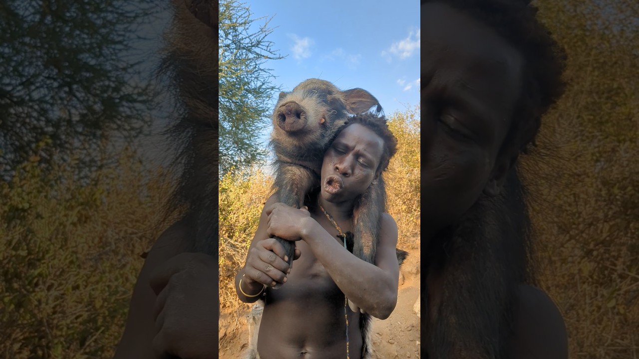 bushmen lifestyle and experience of hunting in the bush