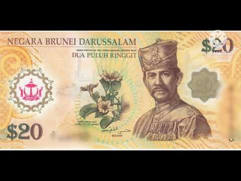 دولار بروناي  