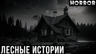 видео: ЛЕСНЫЕ ИСТОРИИ. Истории на Ночь ПРО ЛЕС (3в1) картинка: ЛЕСНЫЕ ИСТОРИИ. Истории на Ночь ПРО ЛЕС (3в1)