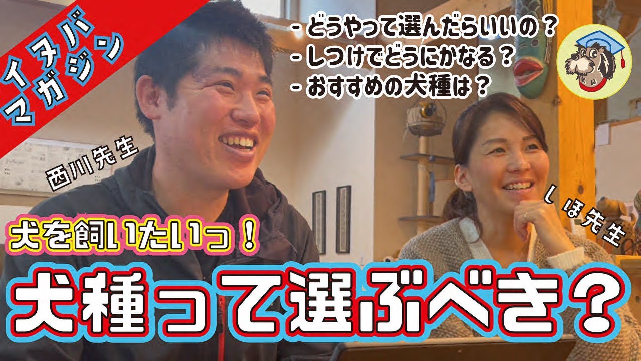 子犬ってどうやって選んだらいいの？【イヌマガ・子犬】★するめ成長記①★