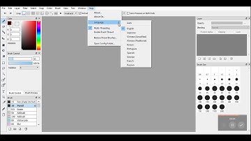 How to change your language in firealpaca