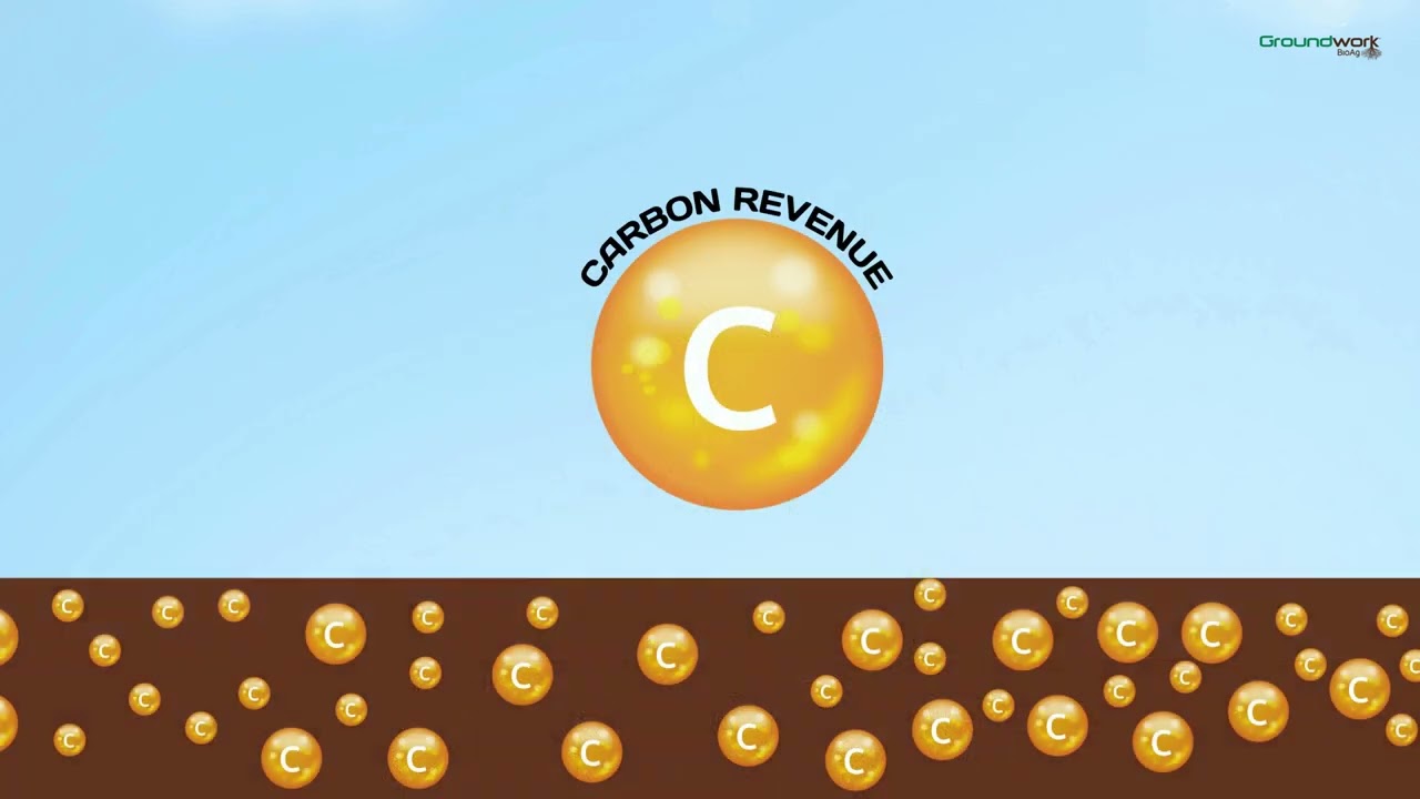 Rootella Mycorrhizal Inoculants- One acre, two revenue streams.