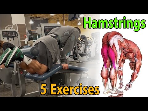 Hamstrings Top 5 Exercises | Best Hamstrings Workout - YouTube