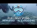 IMMERSIONE AL CANALONE - ISOLA DI BERGEGGI - FULL DIVE VLOG - SUB H2O