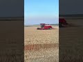 Lovol Combine Harvester: 20+ Acres Per Hour in Cross-Regional Harvest!